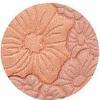 Load image into Gallery viewer, Floral Blush